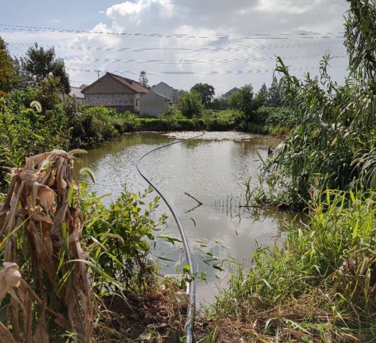农村生活污水应该怎么治理好呢